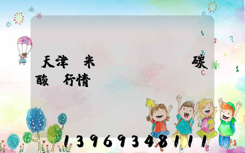 天津納米輕質(zhì)碳酸鈣行情