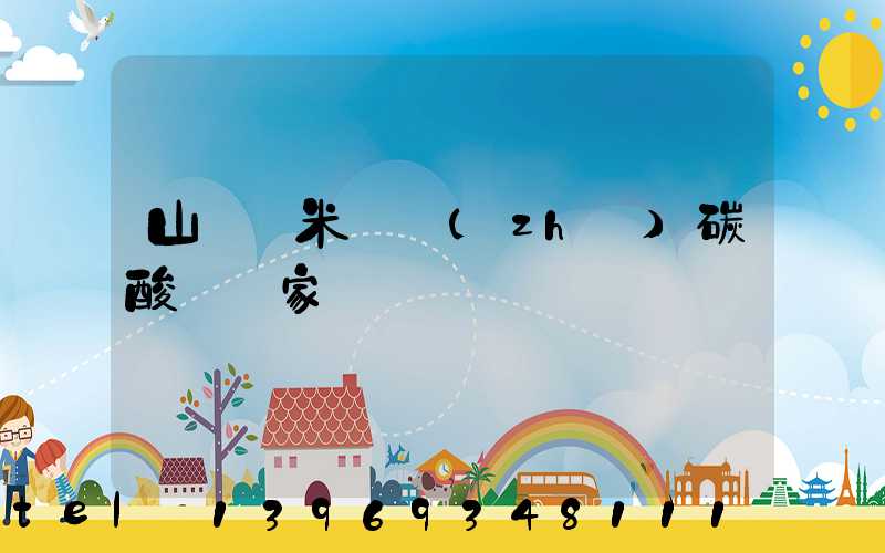 山東納米輕質(zhì)碳酸鈣廠家
