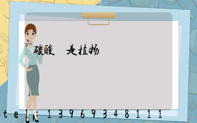 碳酸鈣是植物鈣嗎
