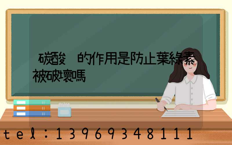 碳酸鈣的作用是防止葉綠素被破壞嗎